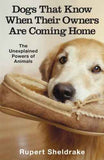 Dogs That Know When Their Owners Are Coming Home – Sheldrake, Rupert [PB] | 9780099255871