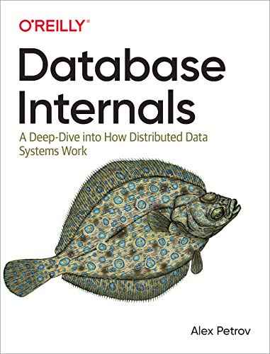 DATABASE INTERNALS by Various Authors | Paperback | HMS-9781492040347