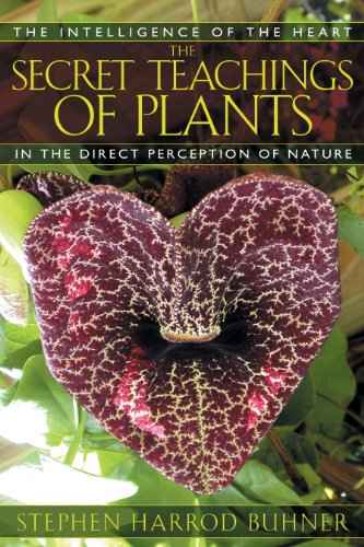 Secret Teachings Of Plants – Buhner, Stephen Harrod [PB] | 9781591430353
