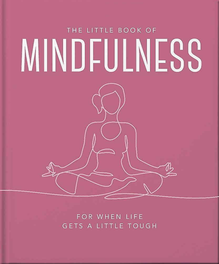 Front cover of the book 'The Little Book of Mindfulness: For When Life Gets a Little Tough' by Orange Hippo!.