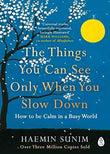 NEW-The Things You Can See Only When You Slow Down (Lead Title)