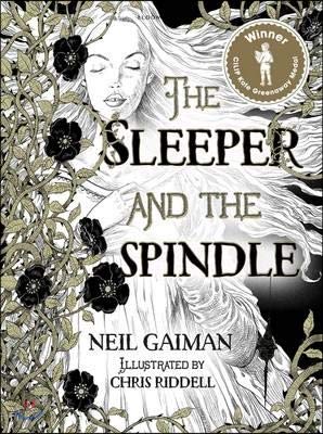 Front cover of the book 'The Sleeper and the Spindle' by Gaiman, Neil.