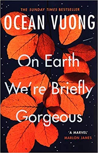 By Ocean Vuong On Earth We'Re Briefly Gorgeous Paperback - 1 Sept 2020 NYBooksHub