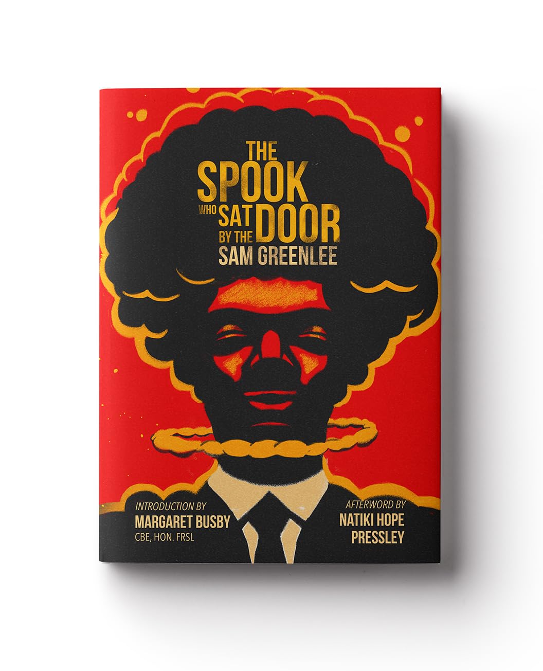 The Spook Who Sat by the Door NYBooksHub
