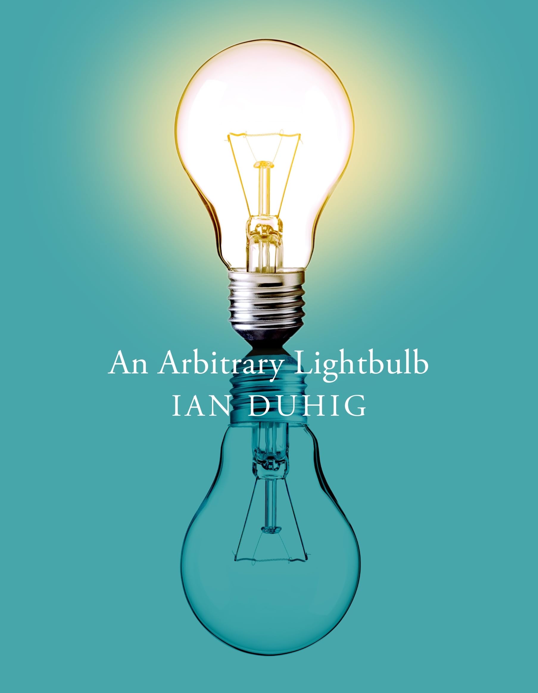Front cover of the book 'An Arbitrary Light Bulb' by Ian Duhig.