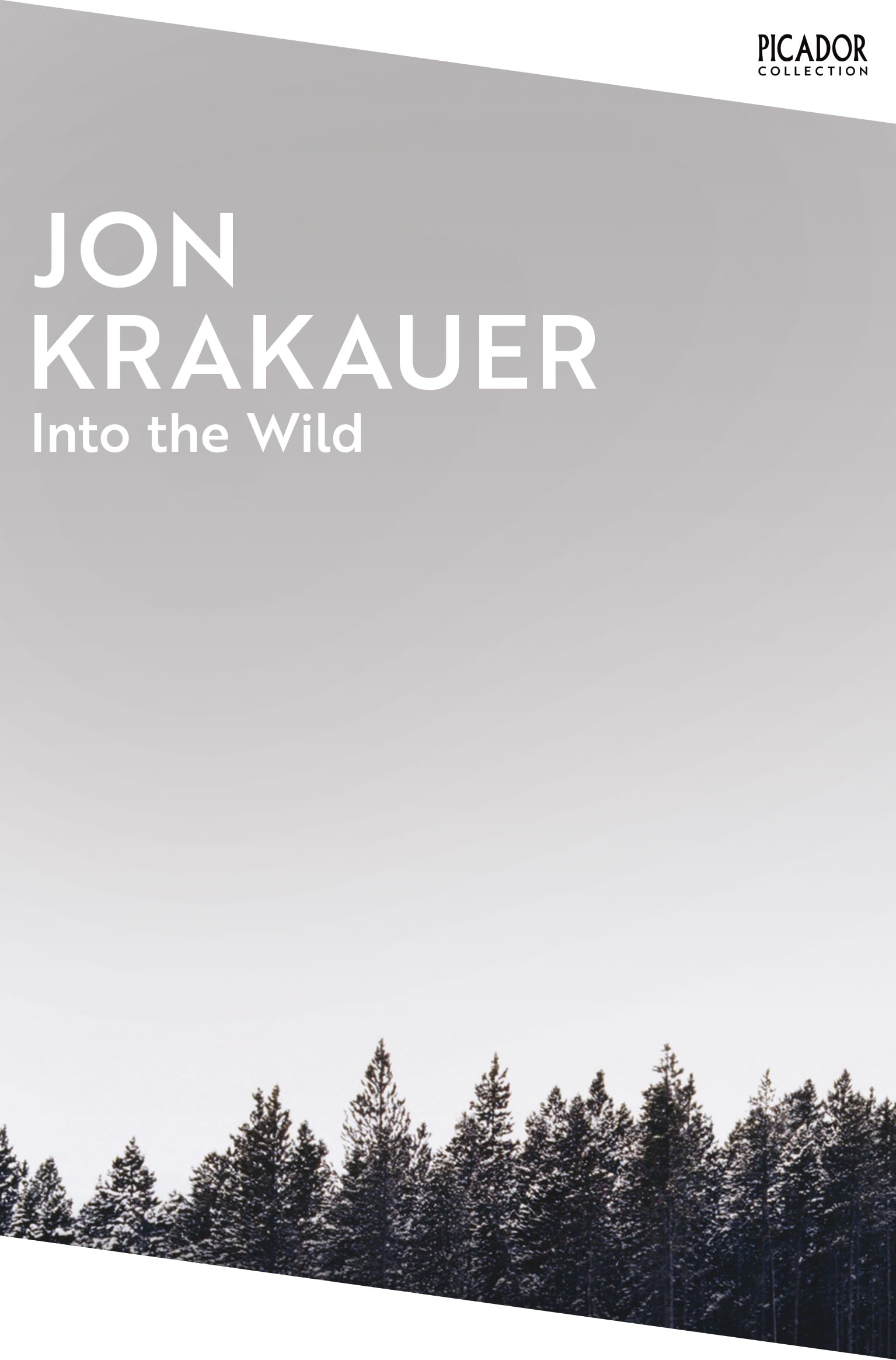 Front cover of the book 'Into the wild' by Jon  Krakauer.