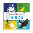Front cover of the Board Book book 'My First Big Book of Birds: Illustrated Board Book of Birds for PreSchool Kids, Toddlers | Book for 1+ [Penguin Early Le' by Na.