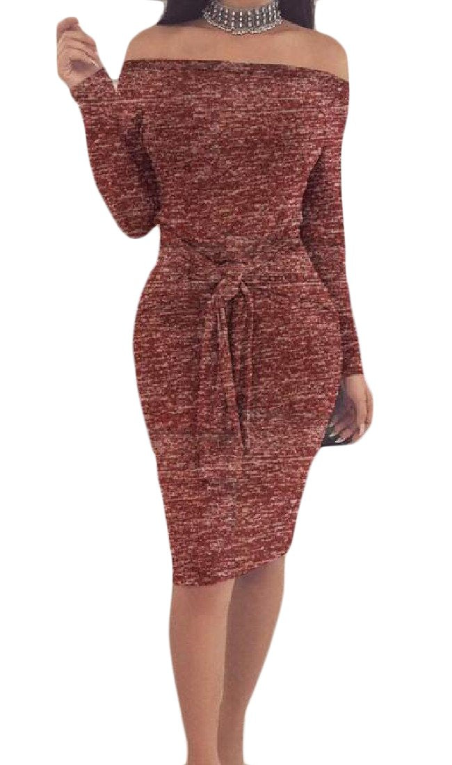 Front cover of the book 'SportsX Women's Bodycon Classic Fit Shoulder Off Solid Tunic Top Dress Wine Red XS' by Parragon Books.