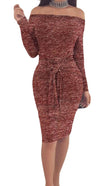 Front cover of the book 'SportsX Women's Bodycon Classic Fit Shoulder Off Solid Tunic Top Dress Wine Red XS' by Parragon Books.