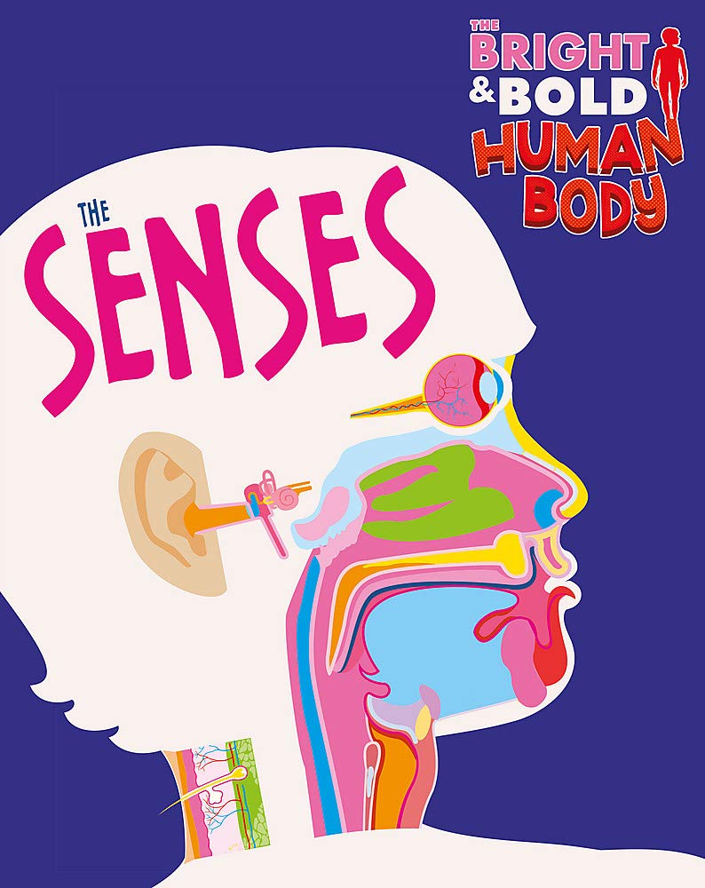 Front cover of the book 'Bright & Bold Human Body The Senses' by Howell, Izzi.