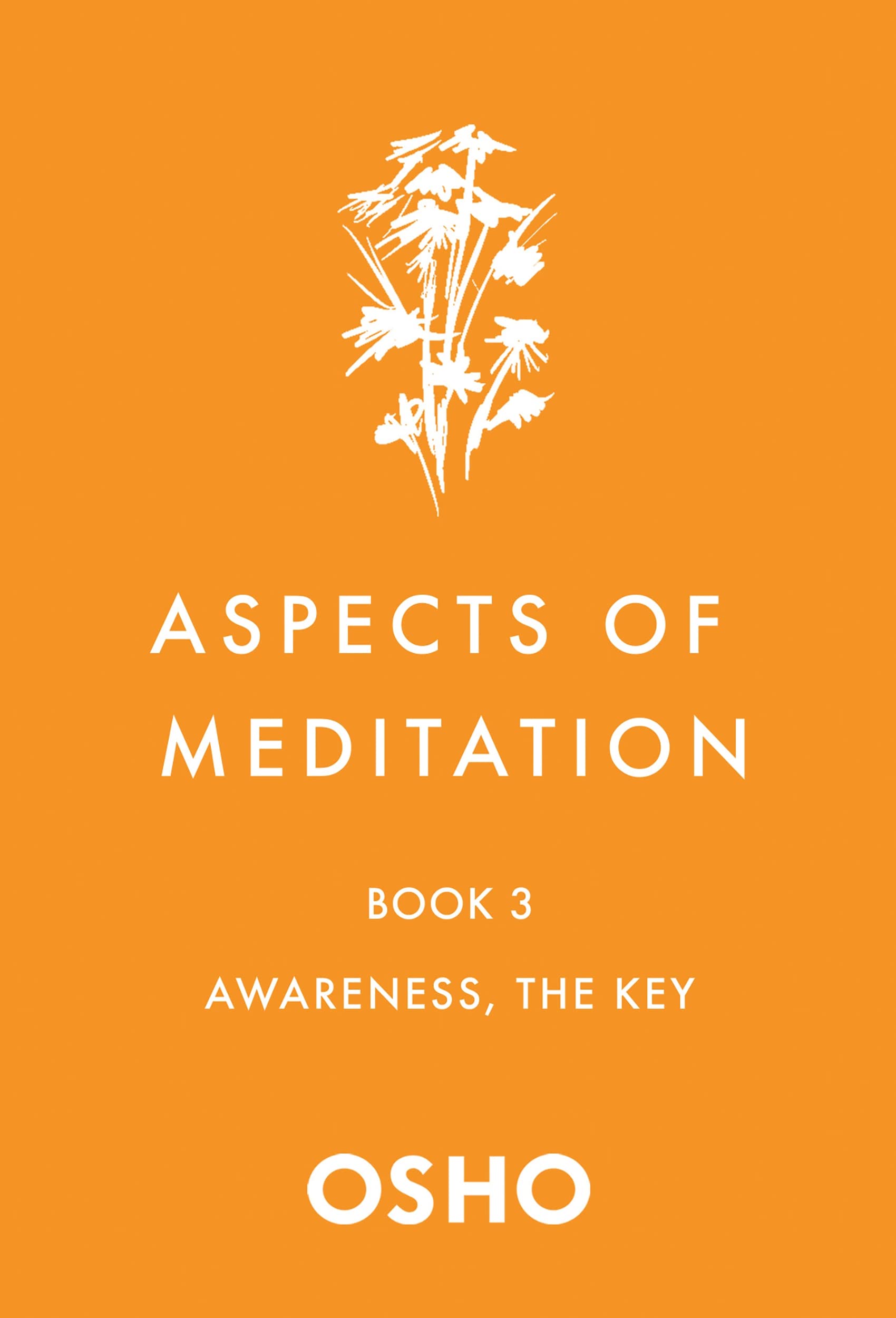 Front cover of the book 'Aspects of Meditation Book 3: Awareness, the Key' by Osho.