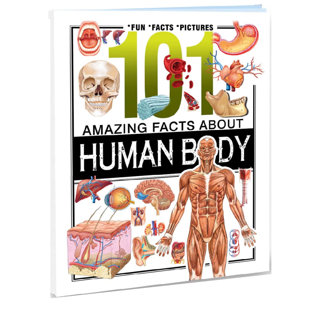Front cover of the book '101 Amazing Facts About Human Body' by Brijbasi Art Press Ltd..