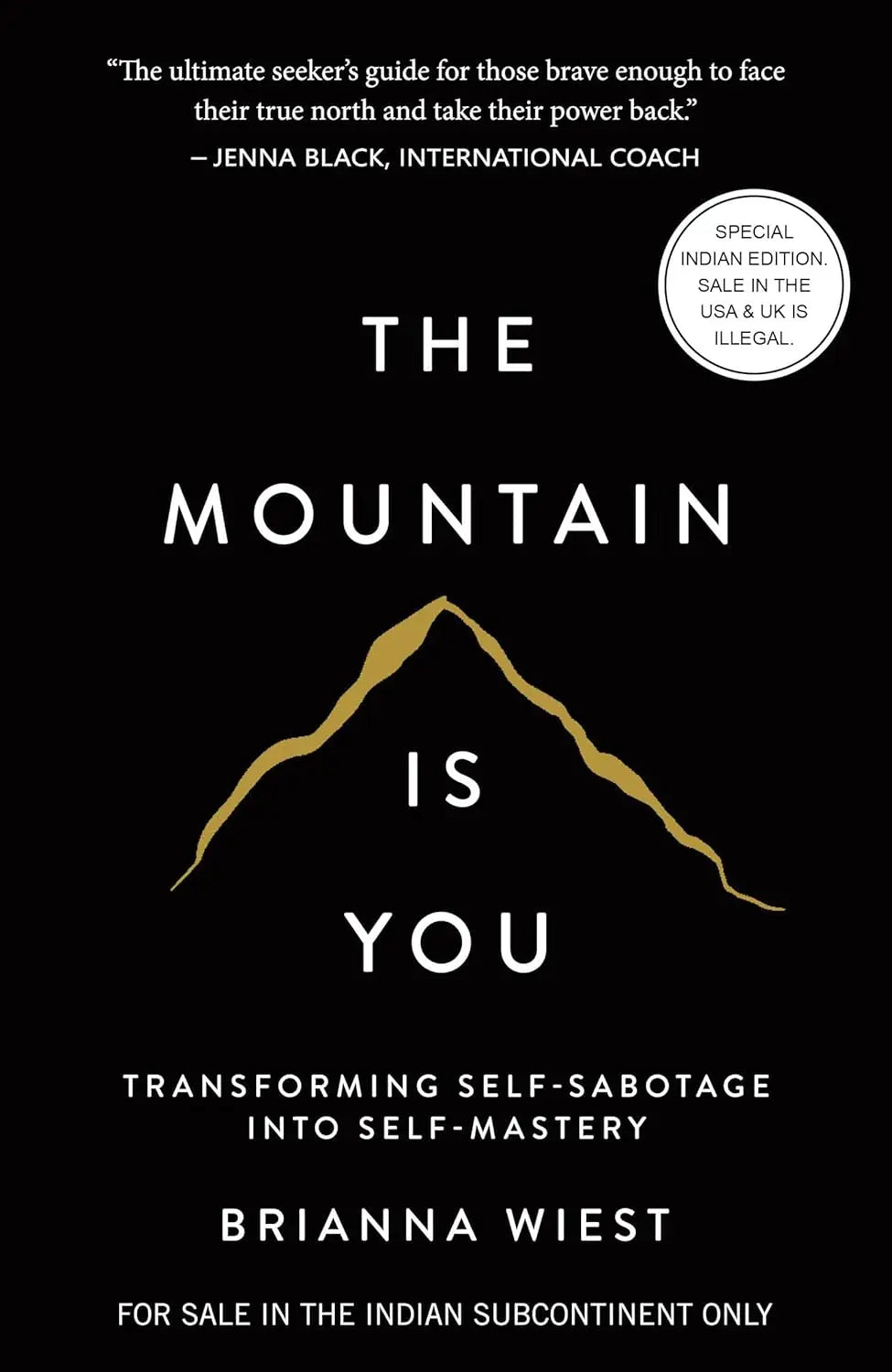 101 Essays + This is How You Heal + Mountain + The Pivot Year (COMBO BOOKS SET) (S) image 5