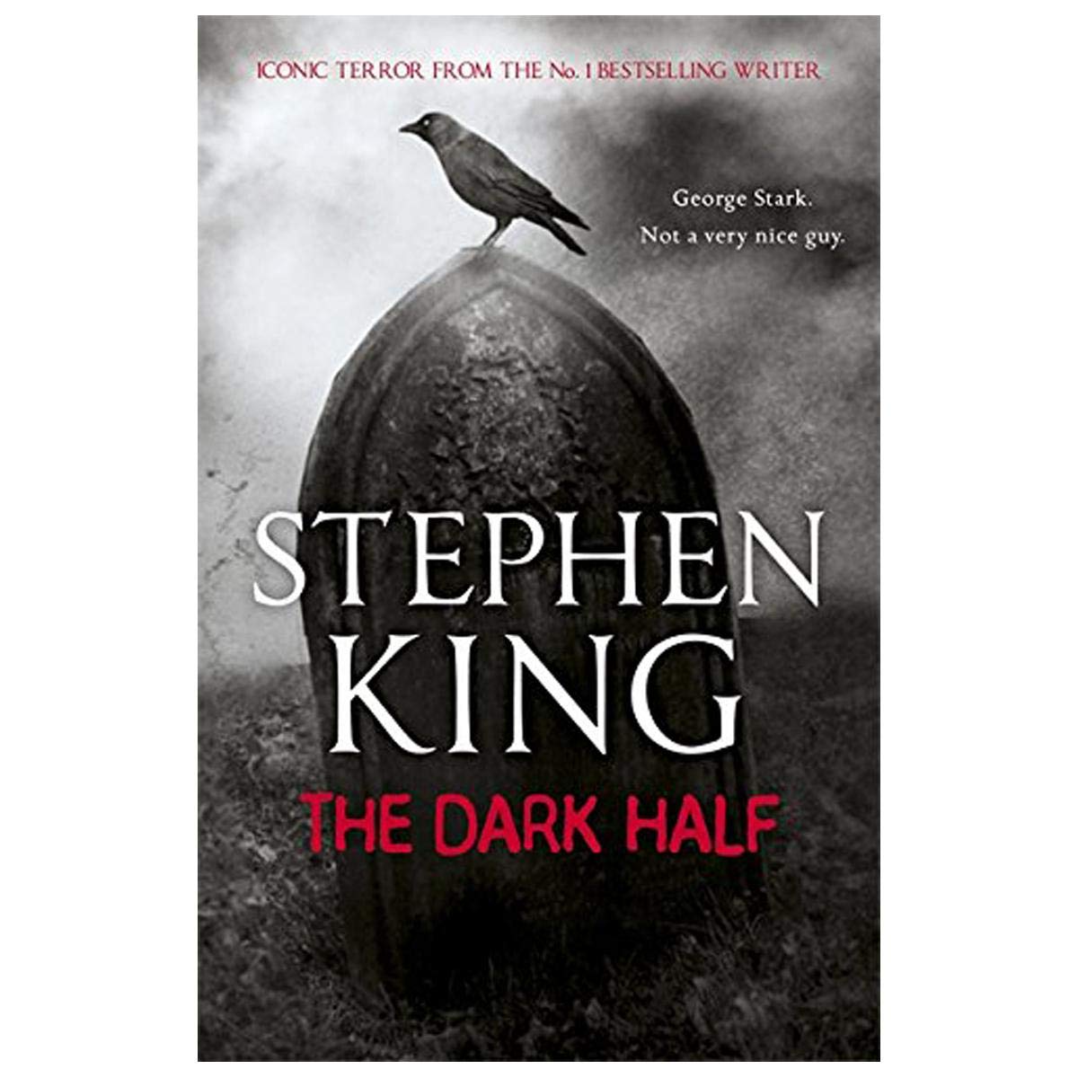 Front cover of the Paperback book '(DARK HALF) BY (AUTHOR)PAPERBACK' by King, Teri.