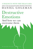 Front cover of the Paperback book 'Bloomsbury Publishing India Private Limited Destructive Emotions: A Scientific Dialogue With The Dalai Lama' by Daniel Goleman.