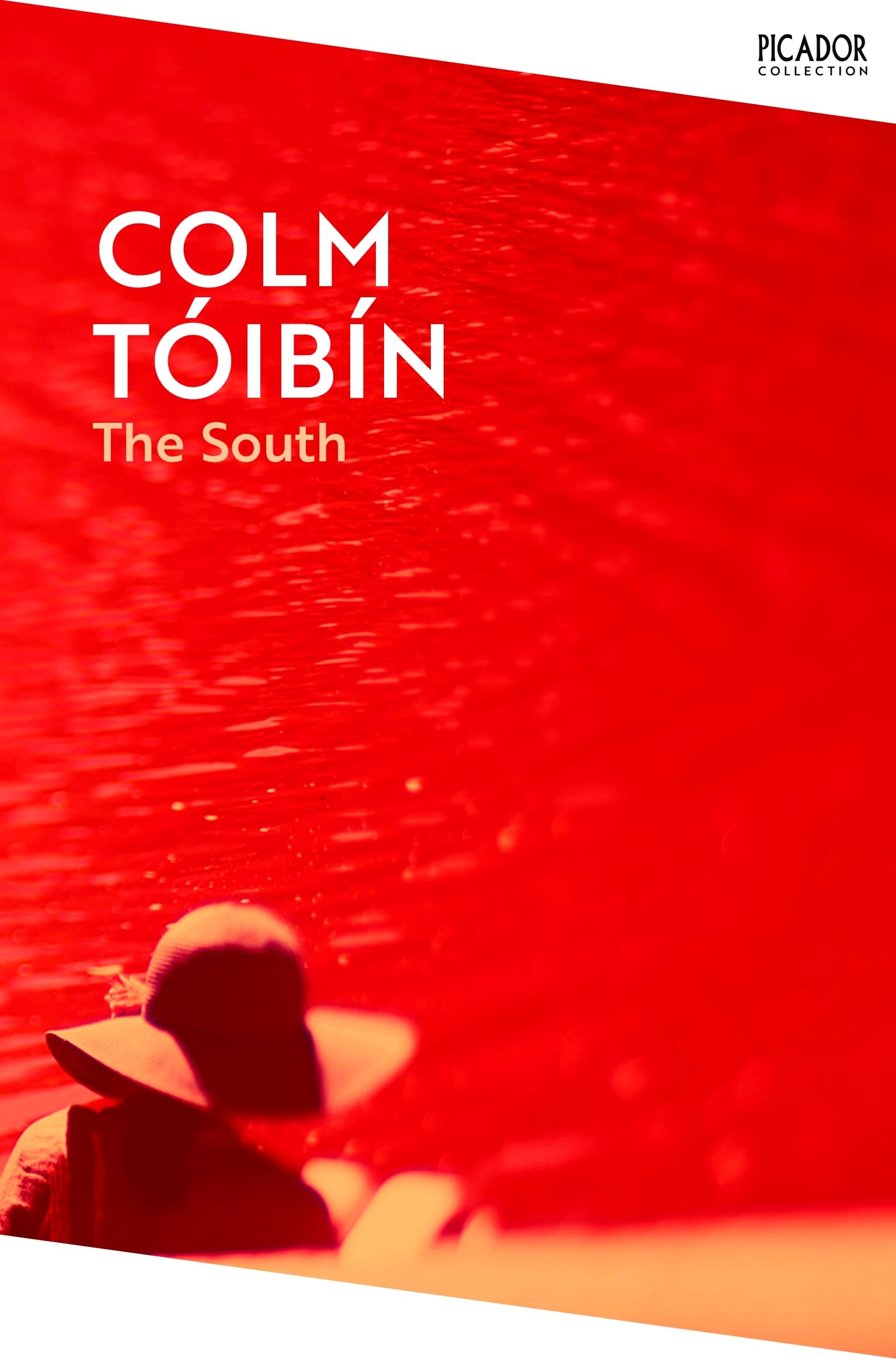 Front cover of the book 'The South (Picador Collection)' by Colm Tóibín.