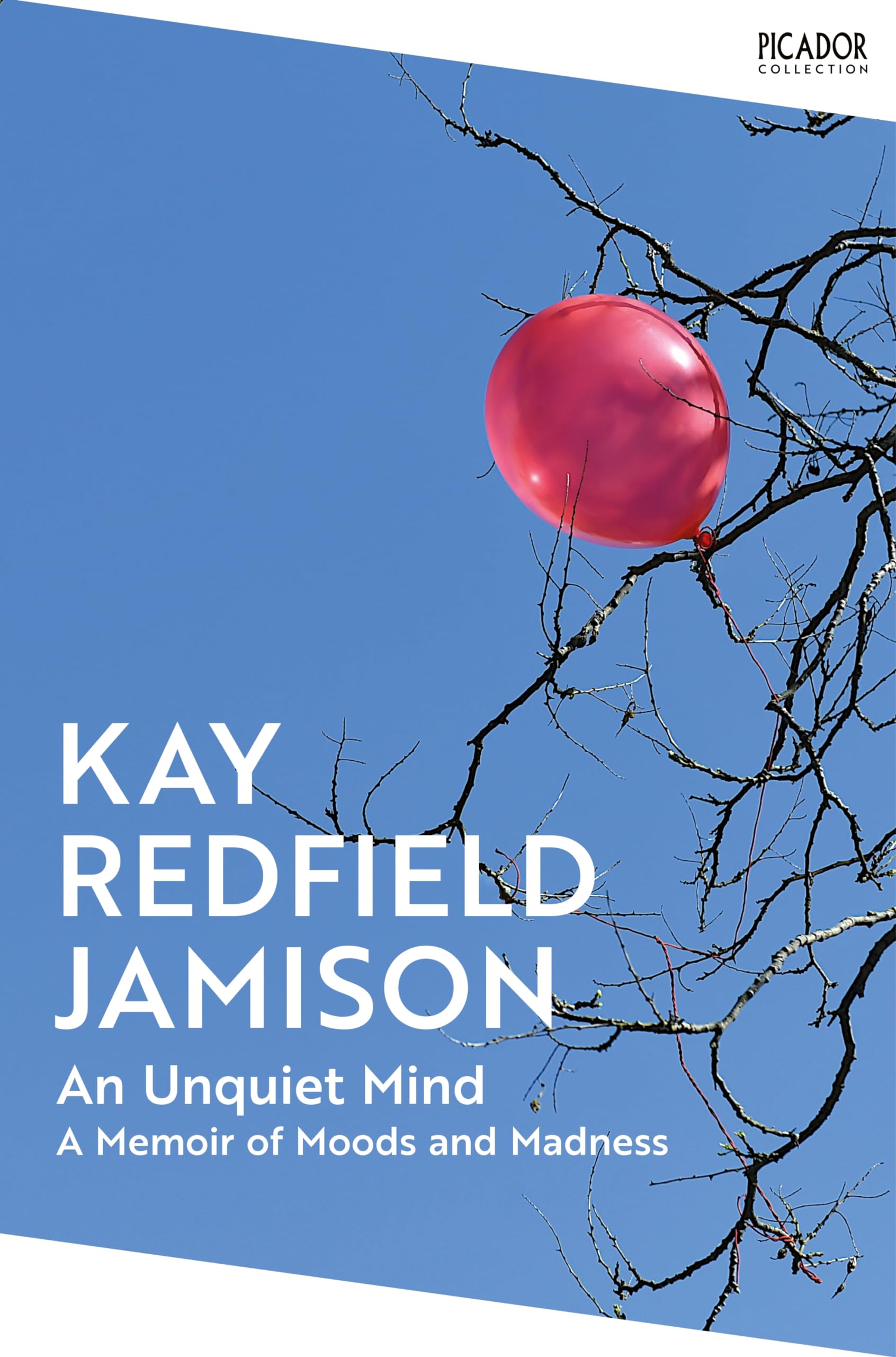 Front cover of the book 'An Unquiet Mind' by Kay Redfield Jamison.
