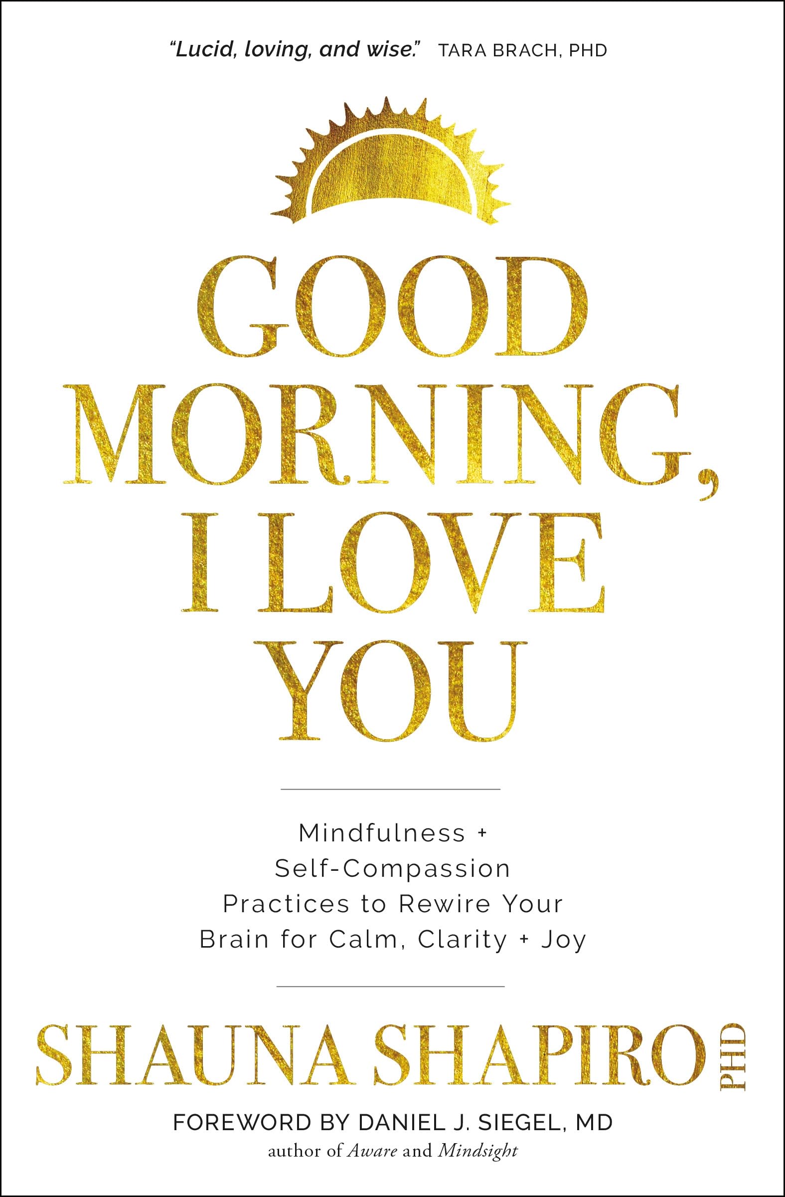 Front cover of the book 'Good Morning, I Love You: Mindfulness and Self-Compassion Practices to Rewire Your Brain for Calm, Clarity, and Joy' by Shauna Shapiro.