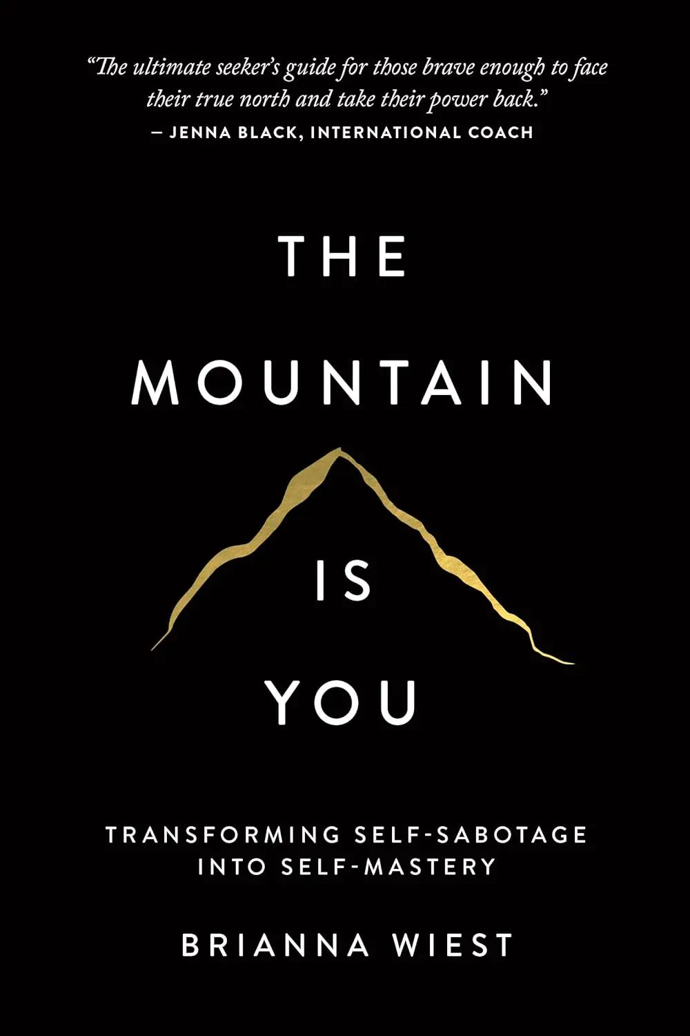 3 book set : Mountain is you + 101 essay + this is how you heal -paperback image 4