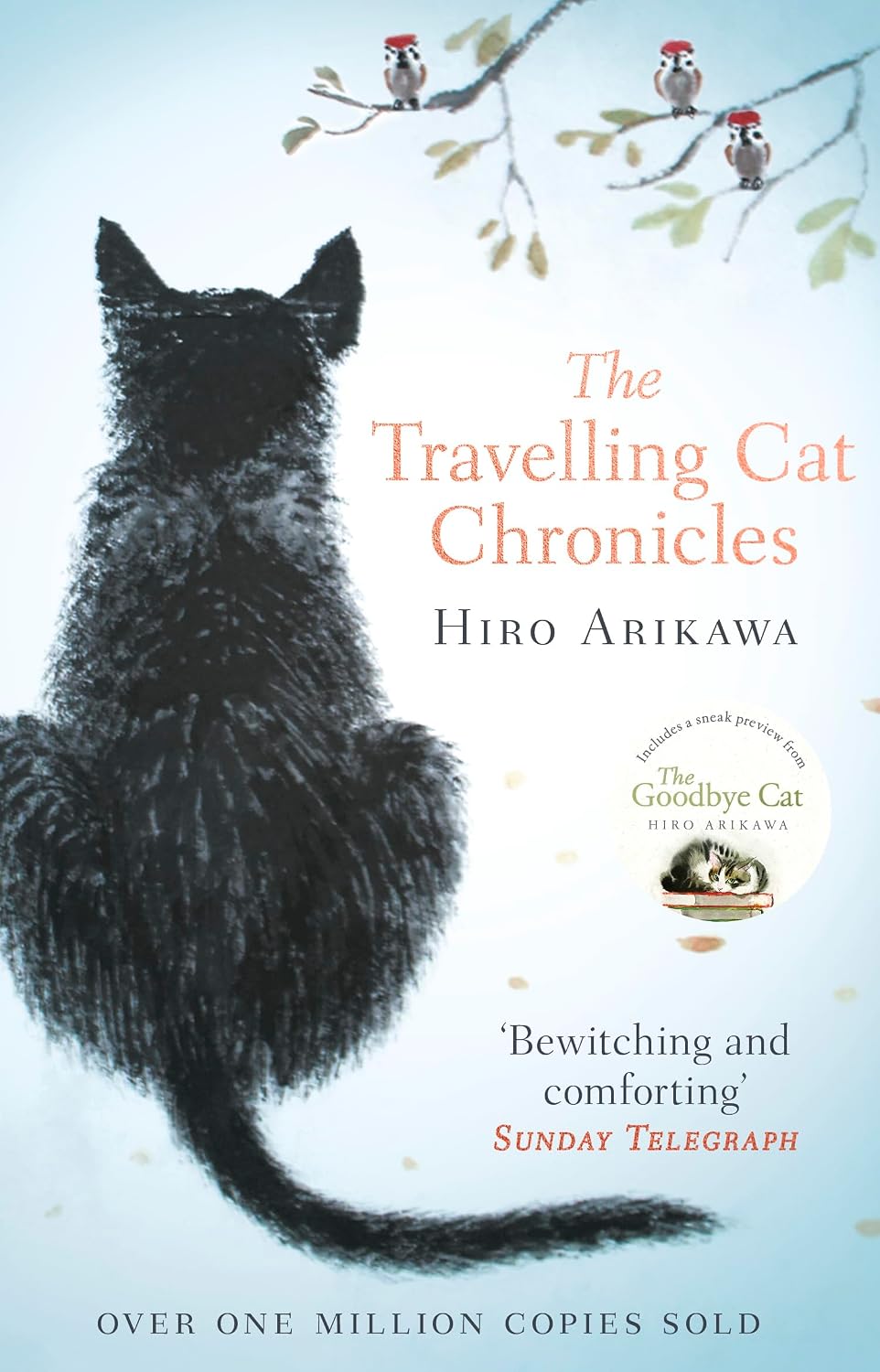 The travelling cat chronicles NYBooksHub