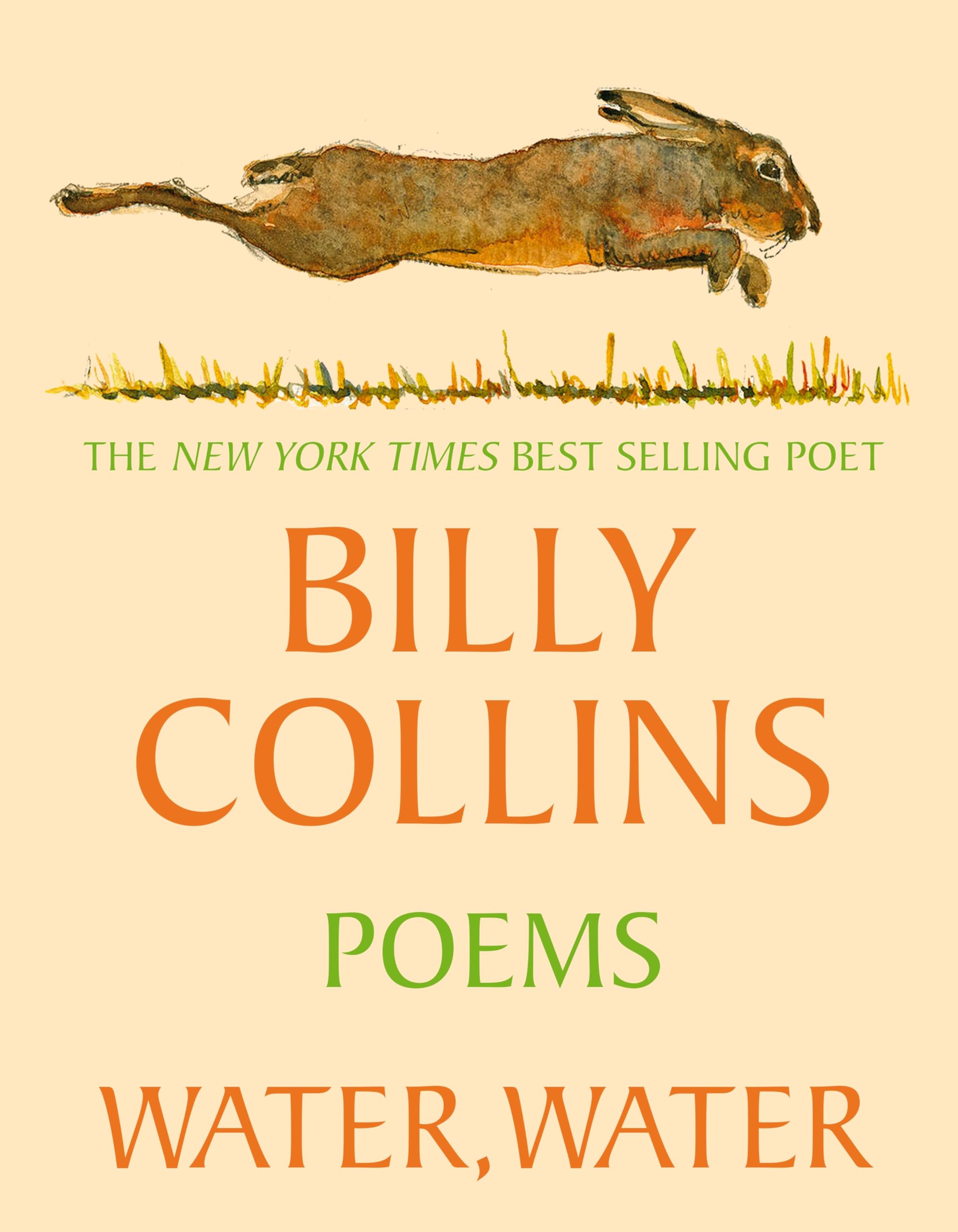Front cover of the book 'Picador Water, Water.' by Billy Collins.