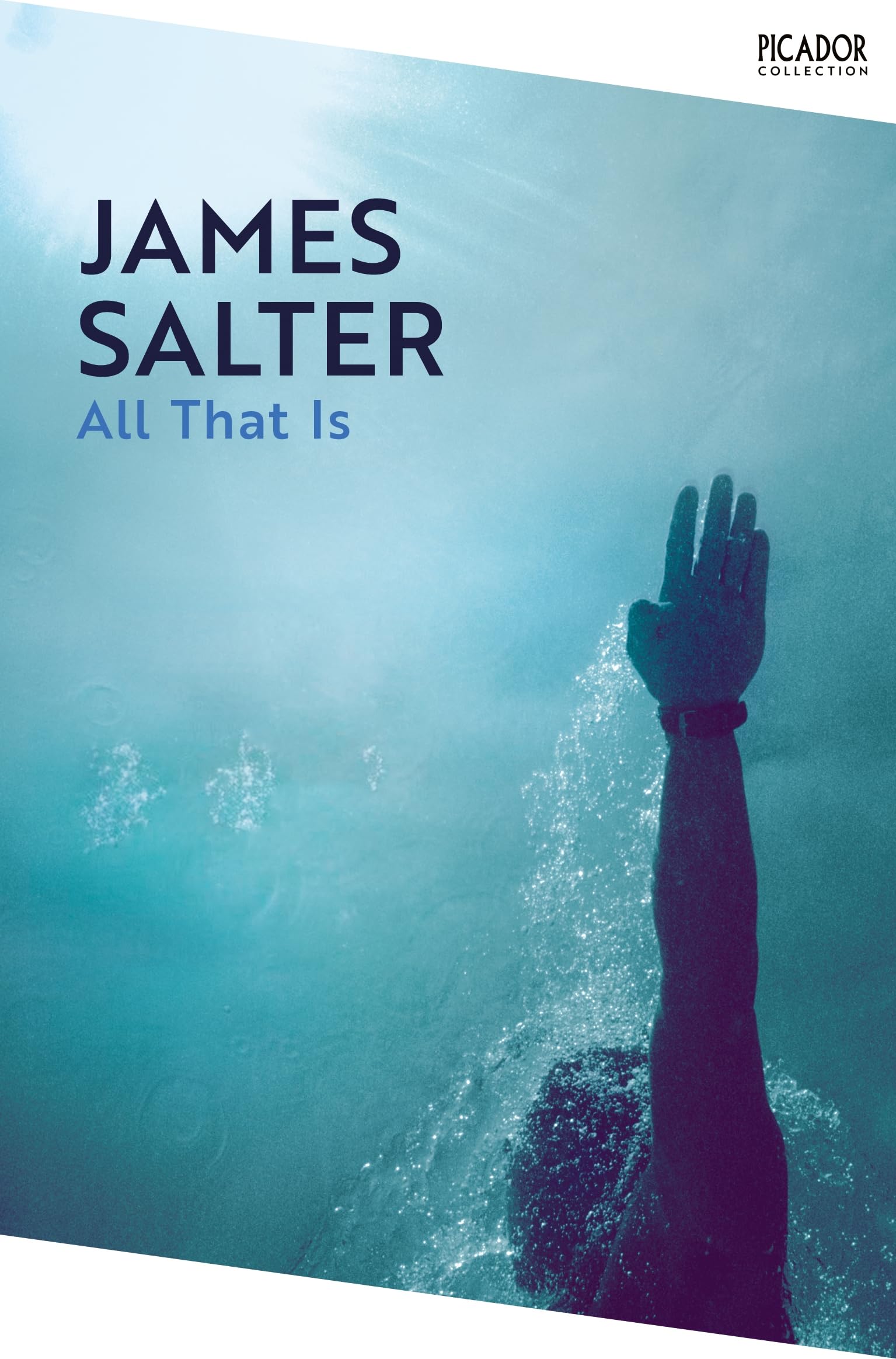 Front cover of the book 'Picador All That Is.' by James Salter.