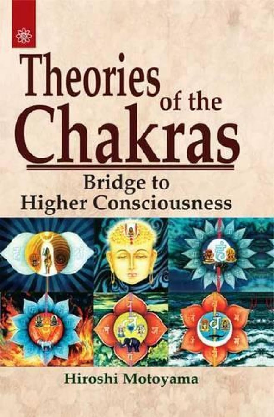 Theories of the Chakras : Bridge to Higher Consciousness NYBooksHub