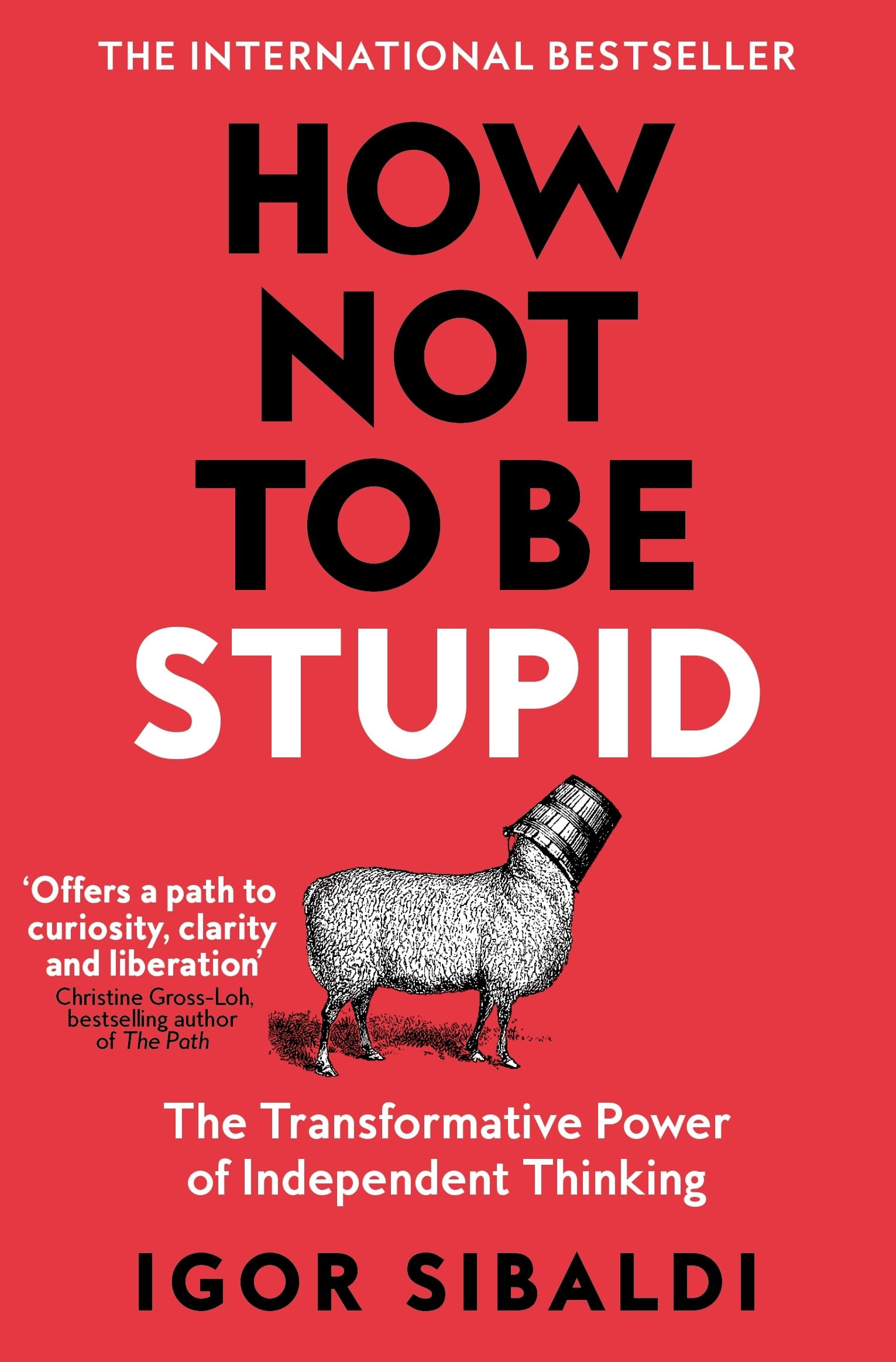 Front cover of the book 'How Not To Be Stupid: The Transformative Power of Independent Thinking' by Igor Sibaldi.