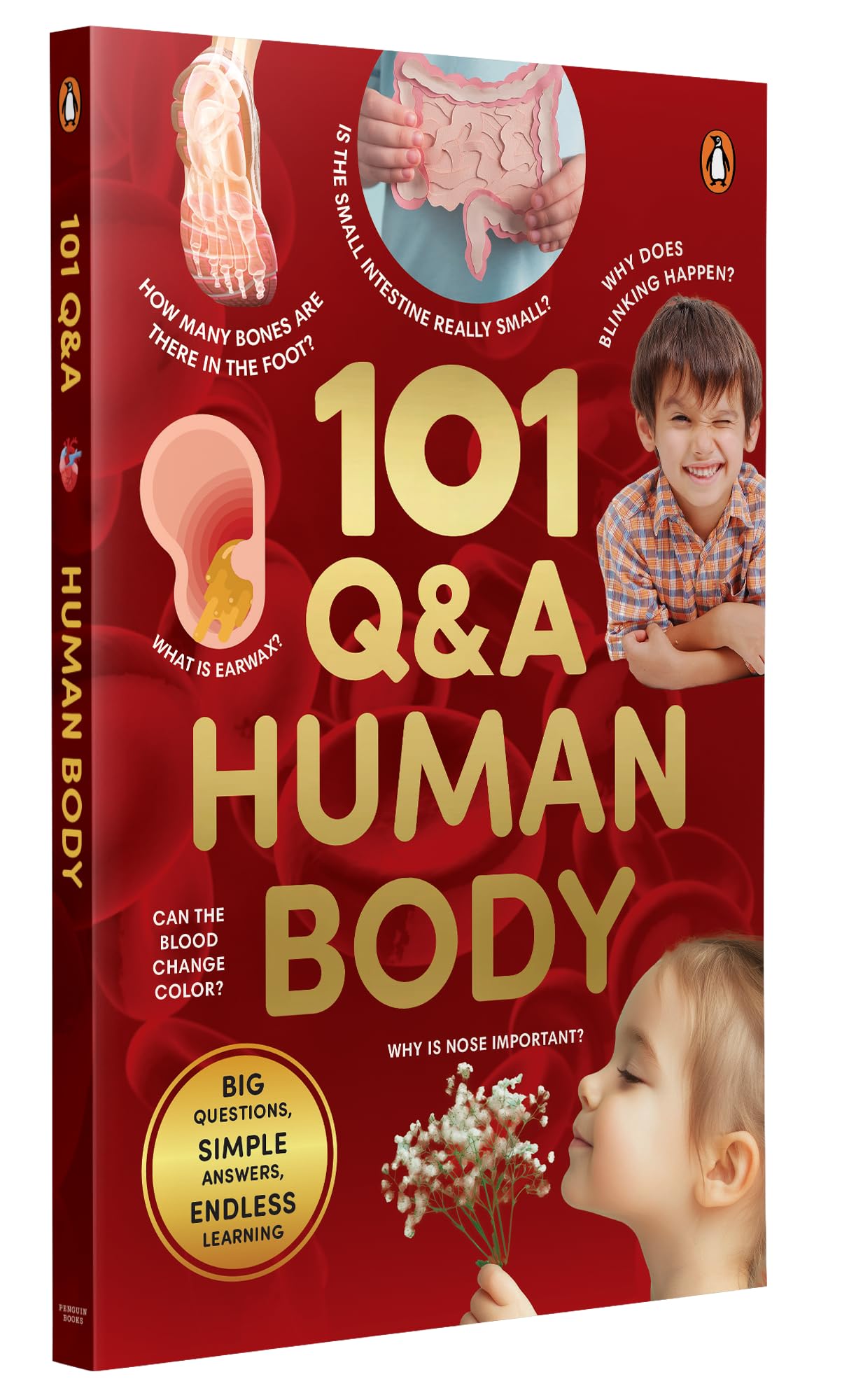 Front cover of the book '101 Q&A Series - Human Body: Encyclopedia for Kids I Amazing Questions and Answers I Knowledge Book with Simple Explanat' by Penguin.