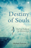 Destiny of Souls PaperbackÐ by Michael Newton