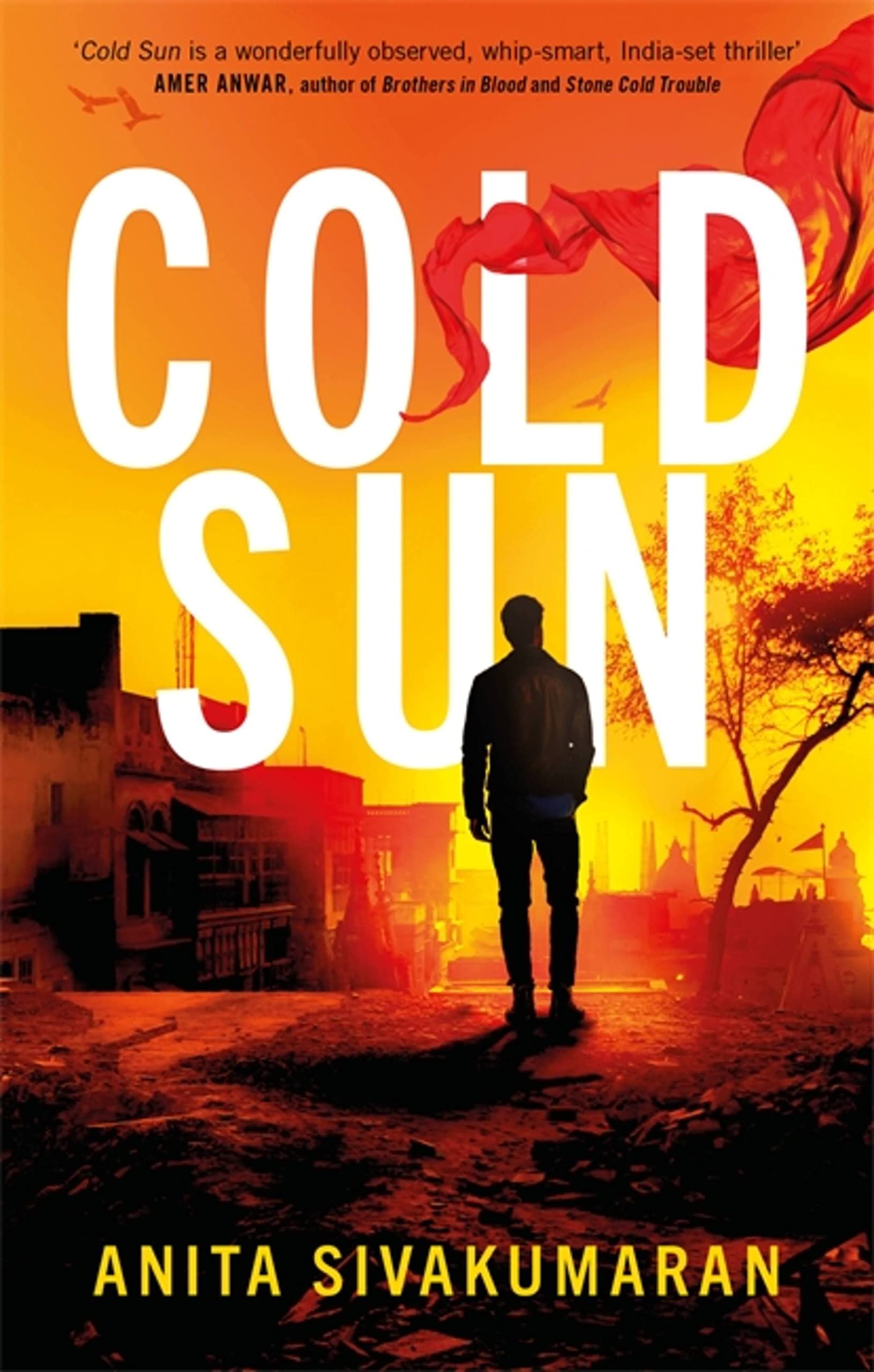 Front cover of the book 'Cold Sun (Detective Vijay Patel)' by Anita Sivakumaran.