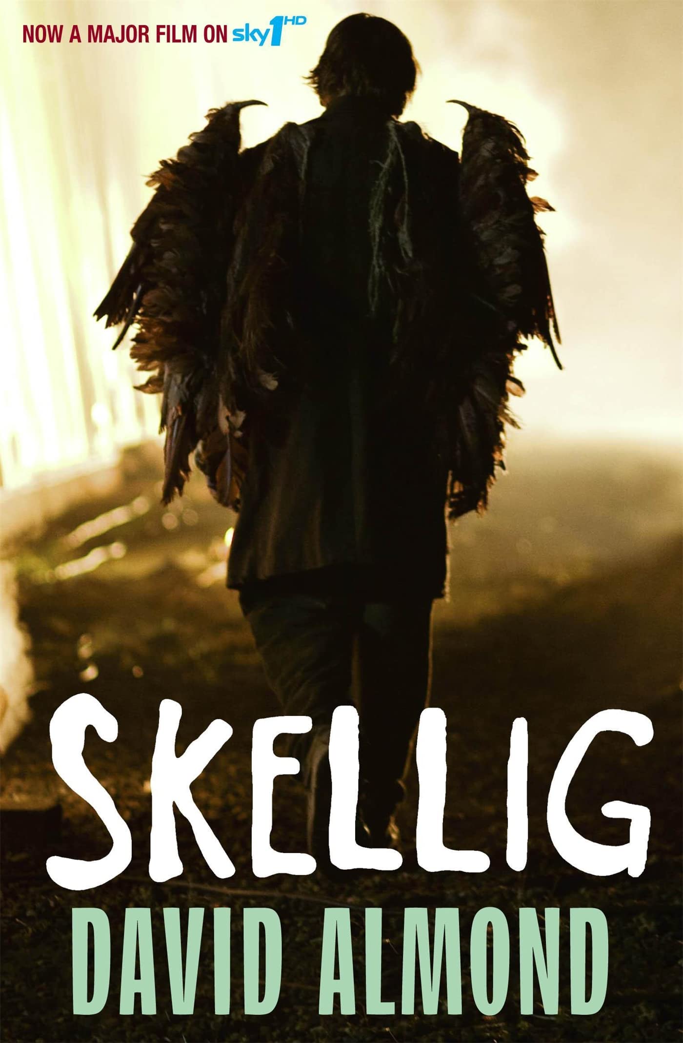 Front cover of the book 'Skellig' by Almond David.