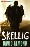 Front cover of the book 'Skellig' by Almond David.