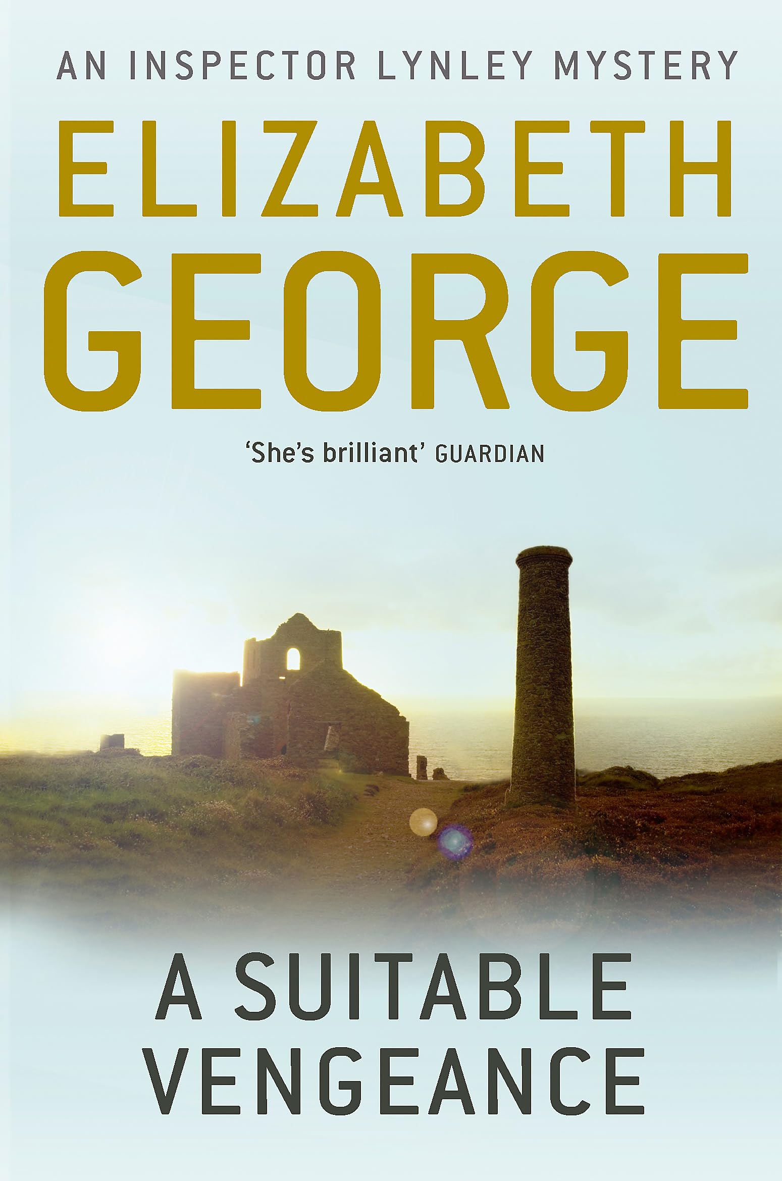 Front cover of the book 'Suitable Vengeance' by George Elizabeth.
