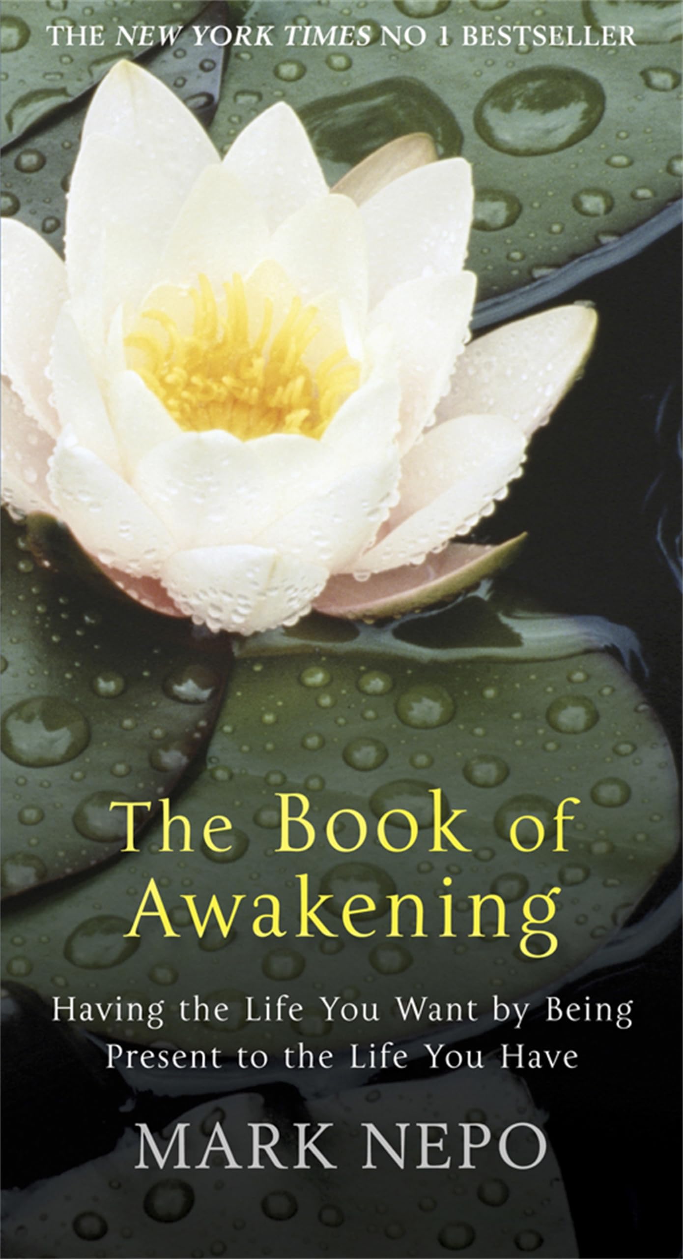 Front cover of the book 'The Book of Awakening: Having the Life You Want by Being Present in the Life You Have' by Nepo Mark.