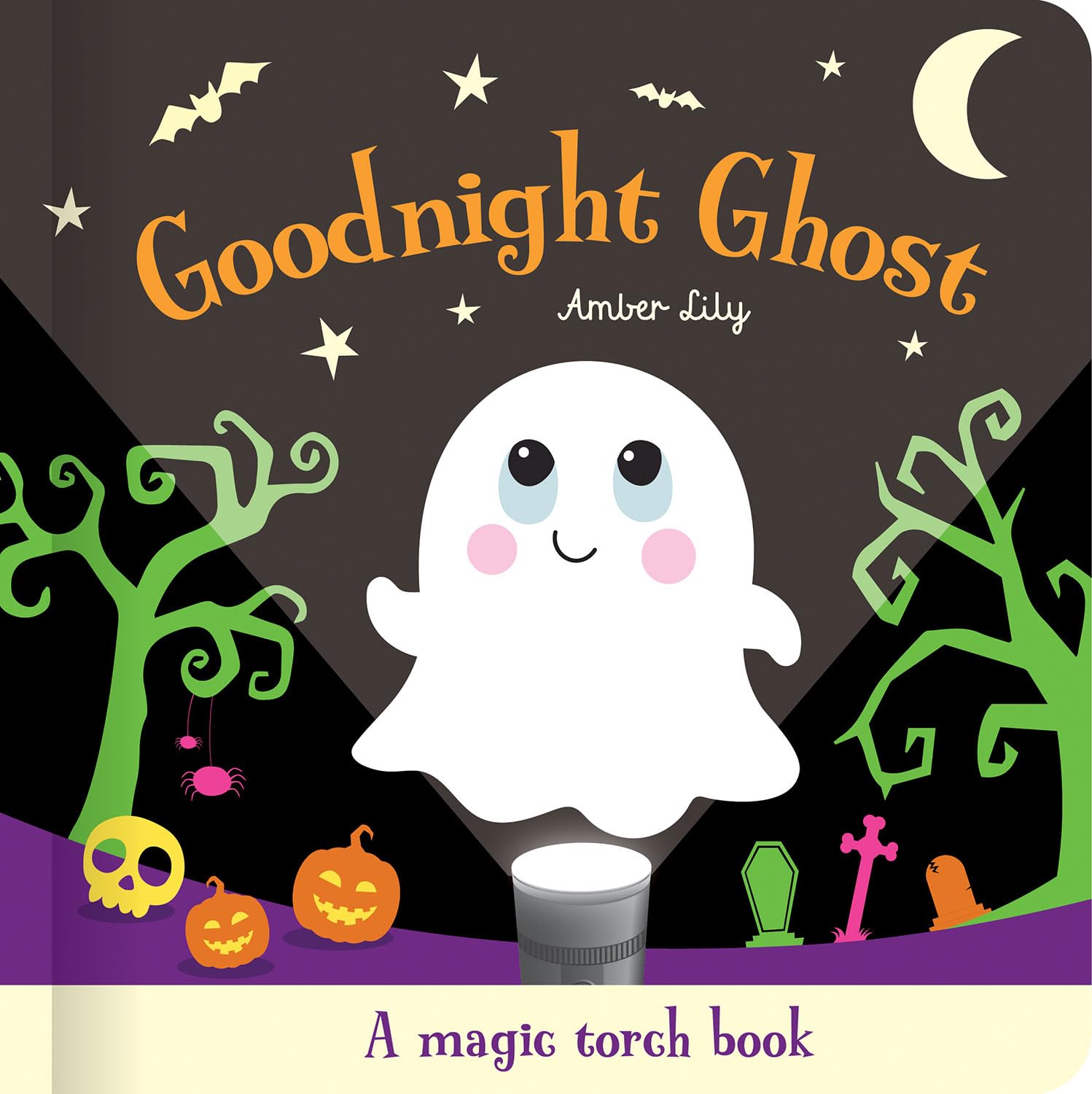 Front cover of the book 'Goodnight Ghost' by Amber Lily.