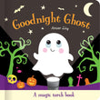 Front cover of the book 'Goodnight Ghost' by Amber Lily.