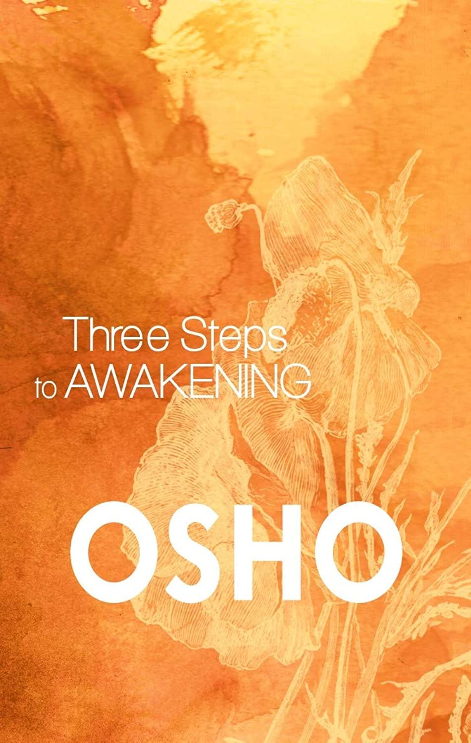 Front cover of the book 'MACMILLAN Three Steps to Awakening' by Osho.