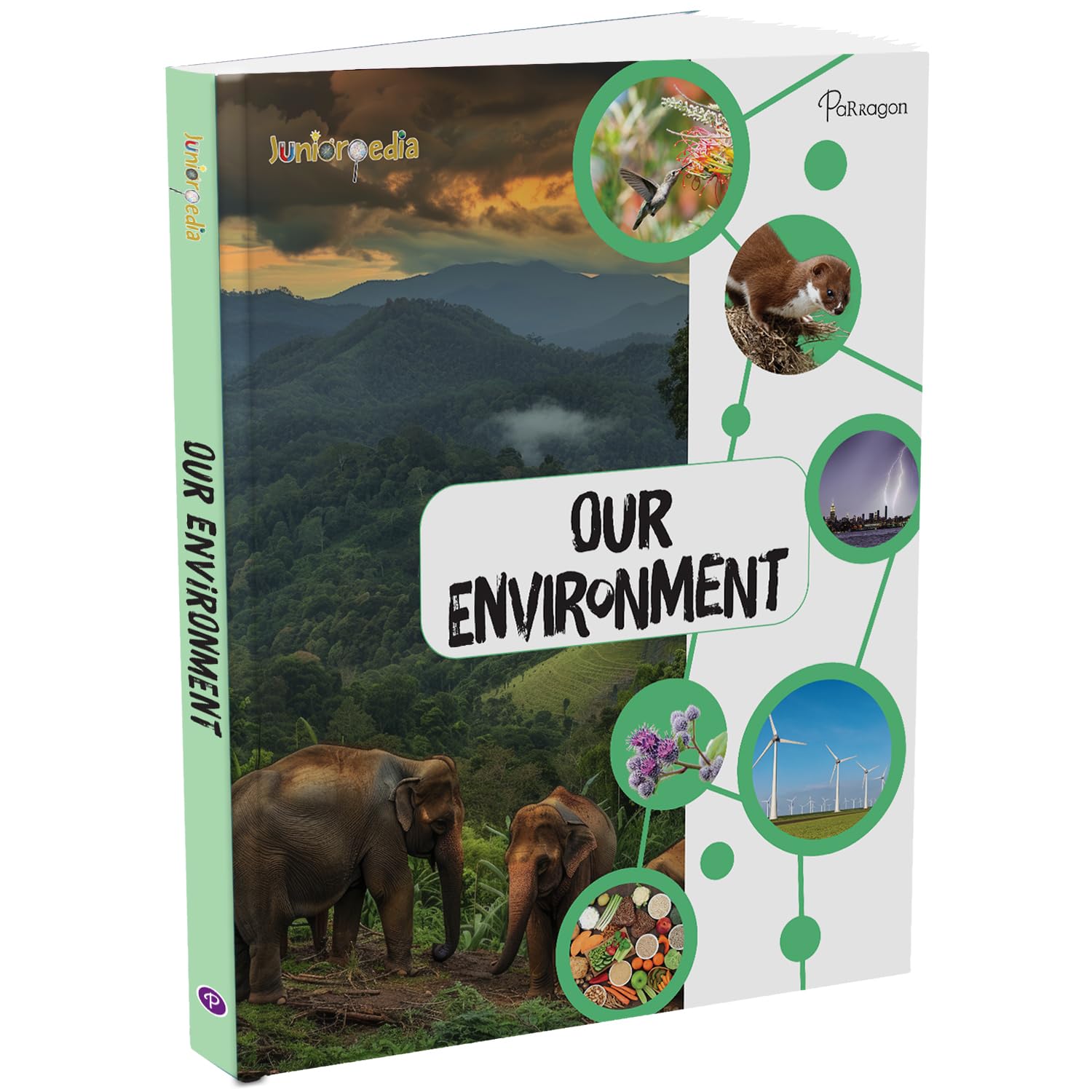 Front cover of the book 'Our Environment' by Parragon.