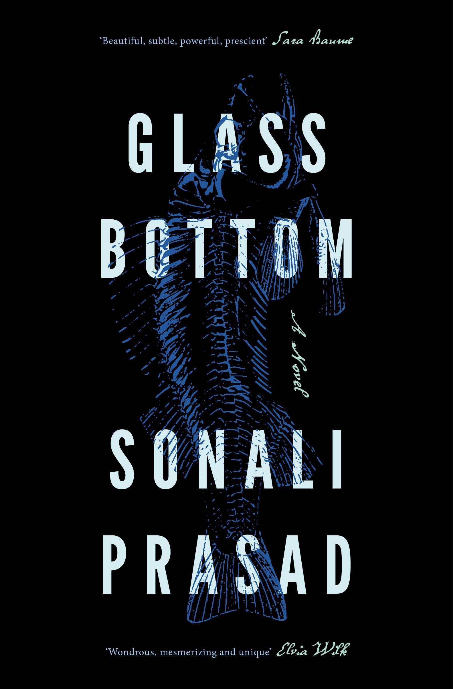 Front cover of the book 'Glass Bottom' by Sonali Prasad.