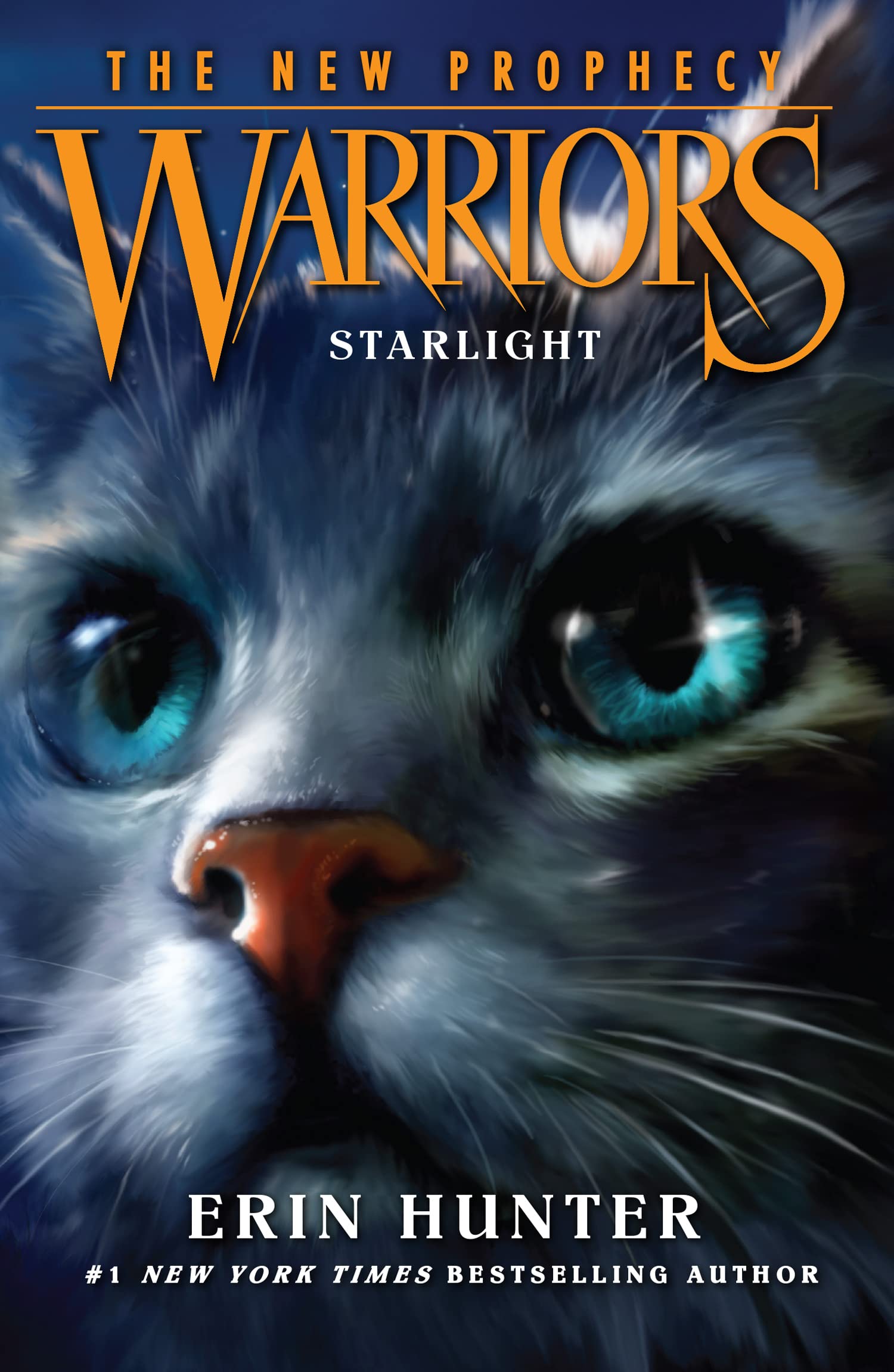 Front cover of the book 'Starlight' by Hunter Erin.