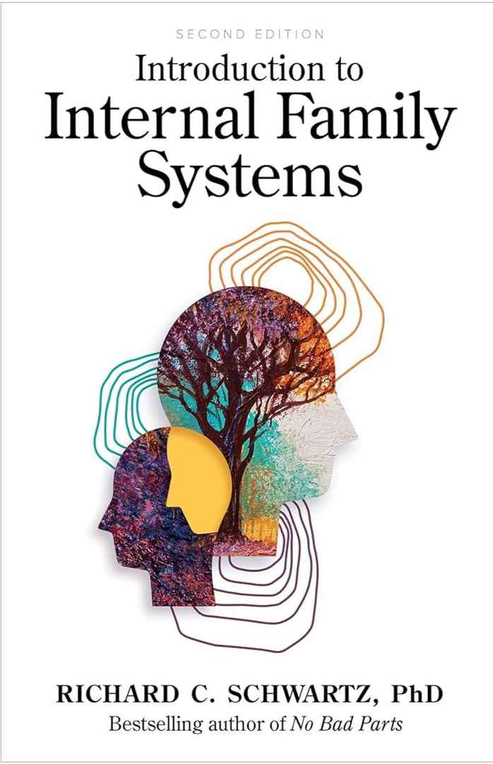 Introduction to Internal Family Systems PaperbackÐ  by Richard Schwartz