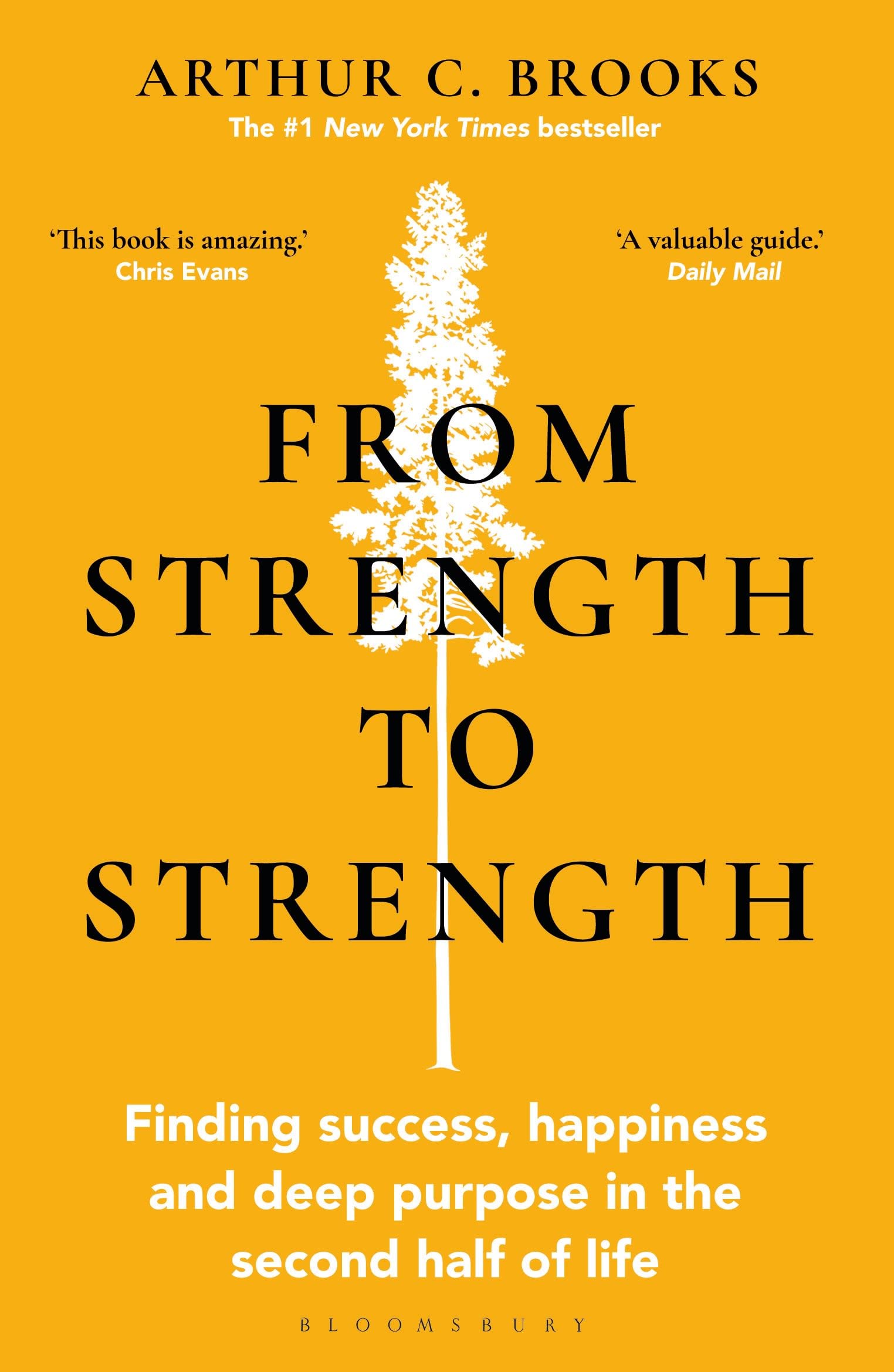 Front cover of the book 'From Strength to Strength: Finding Success, Happiness and Deep Purpose in the Second Half of Life' by Arthur C Brooks.