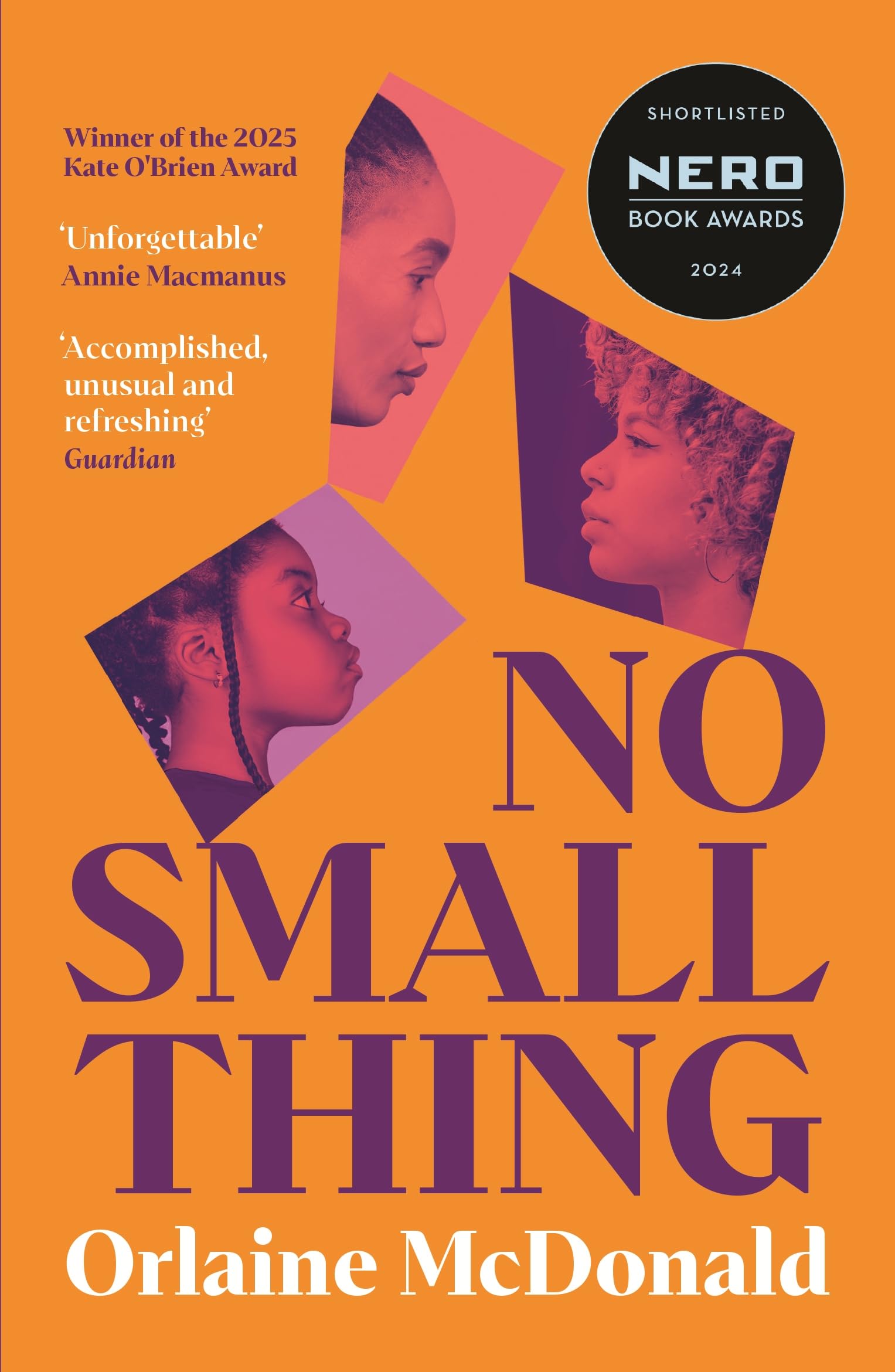 Front cover of the book 'Serpents Tail No Small Thing One of the best debut novels Ive read in recent years Bernardine Evaristo.' by Orlaine McDonald.