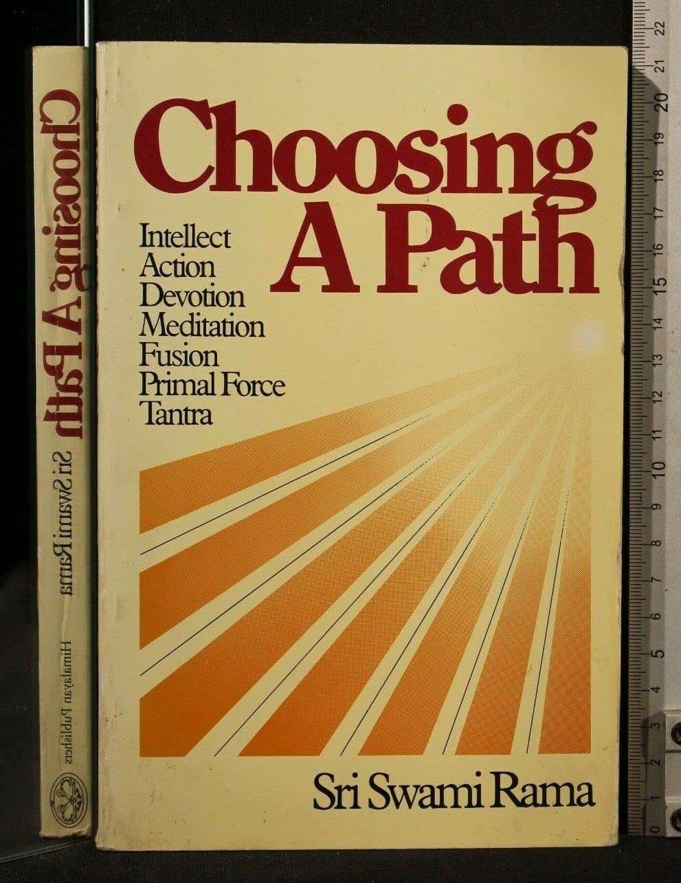 Front cover of the book 'Choosing A Path' by Rama Swami.