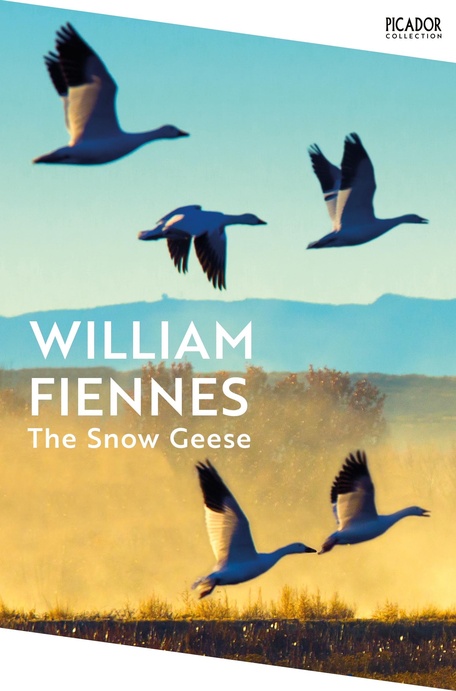 Front cover of the book 'The Snow Geese: The award-winning nature writing classic (Picador Collection)' by William Fiennes.