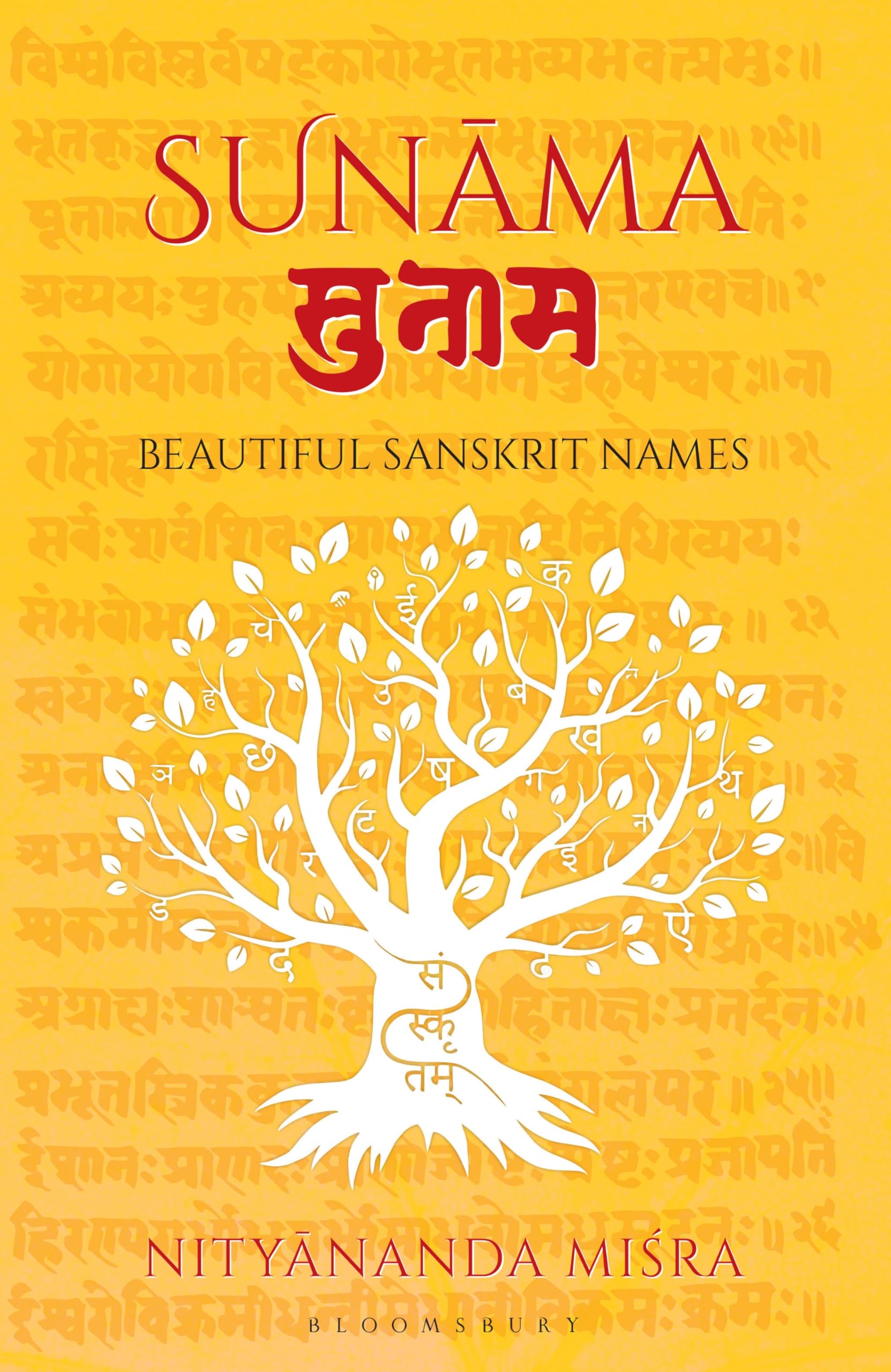 Front cover of the book 'Sunama' by Nityananda Misra.