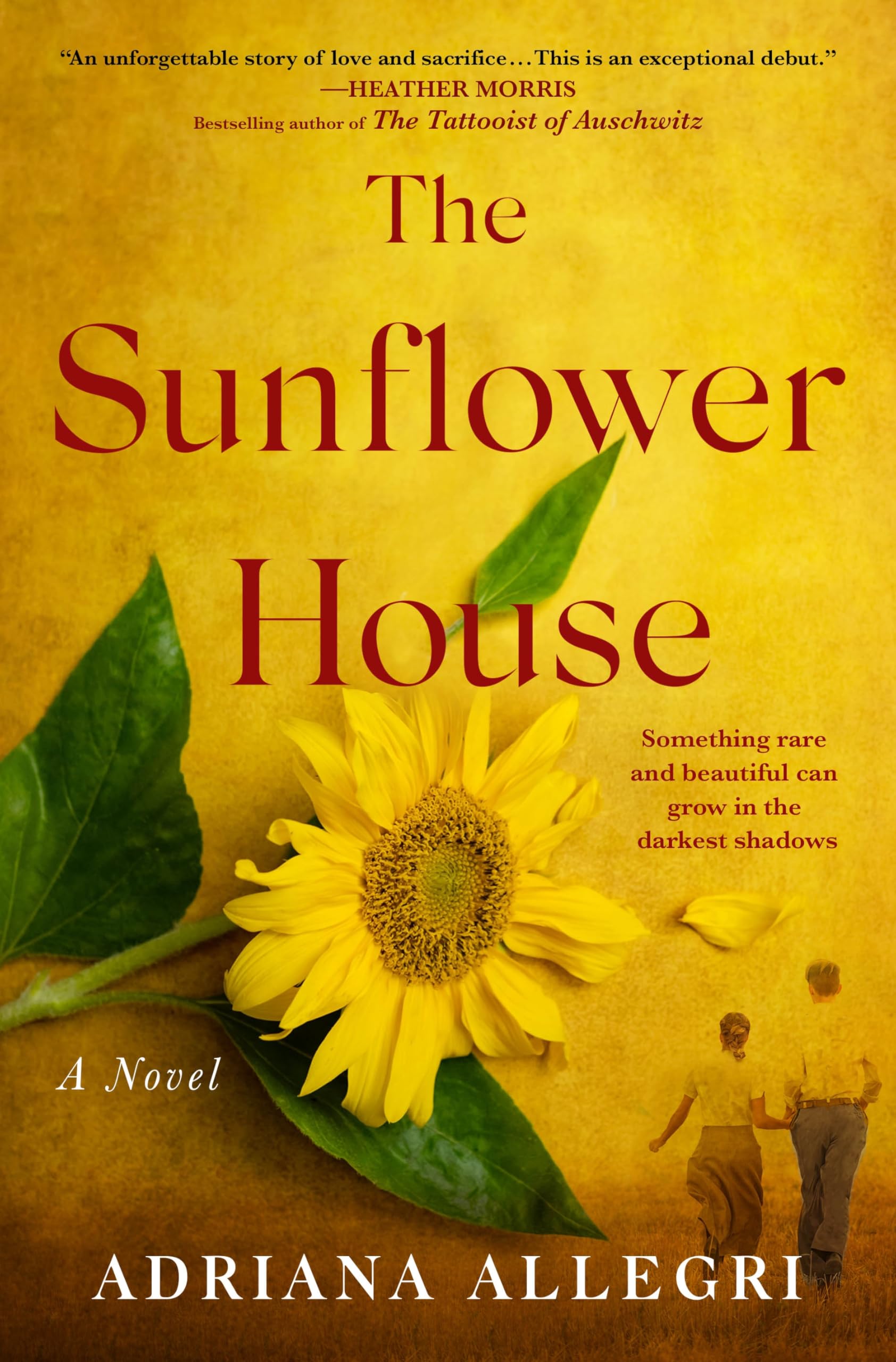 Front cover of the book 'The Sunflower House' by Adriana Allegri.