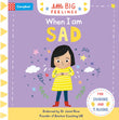 Front cover of the book 'When I am Sad (Campbell Little Big Feelings)' by Campbell Books.