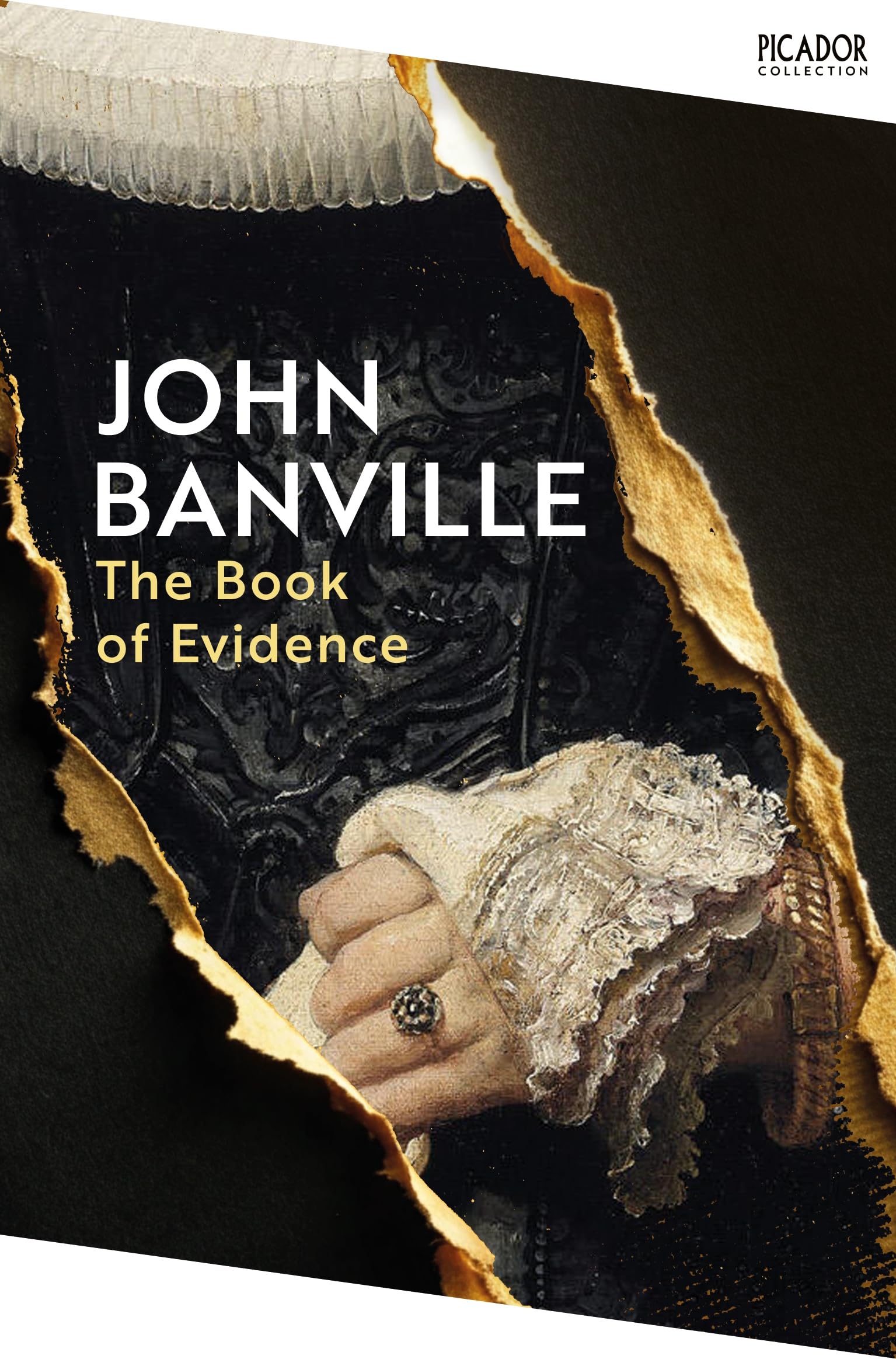 Front cover of the book 'Picador The Book of Evidence.' by John Banville.